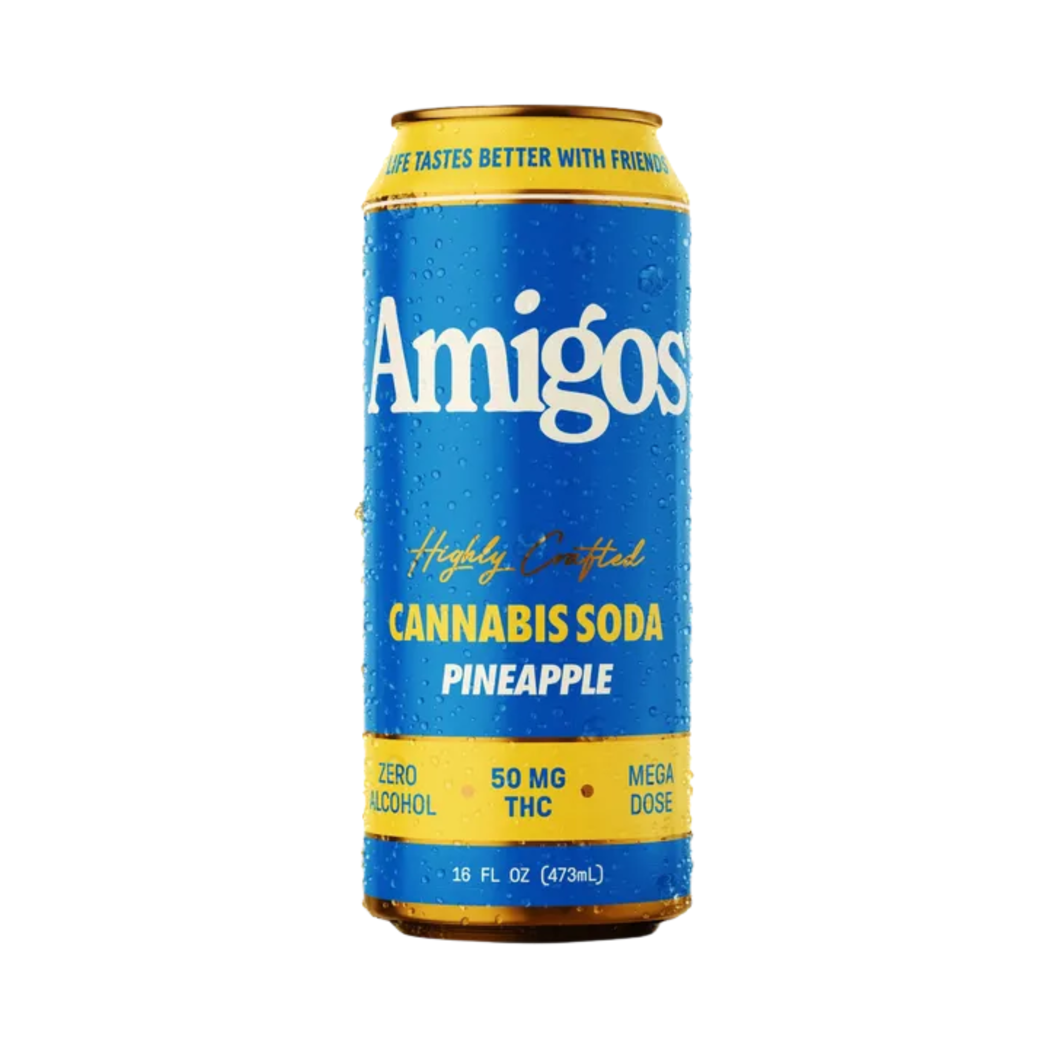 amigo herbicide Amigos